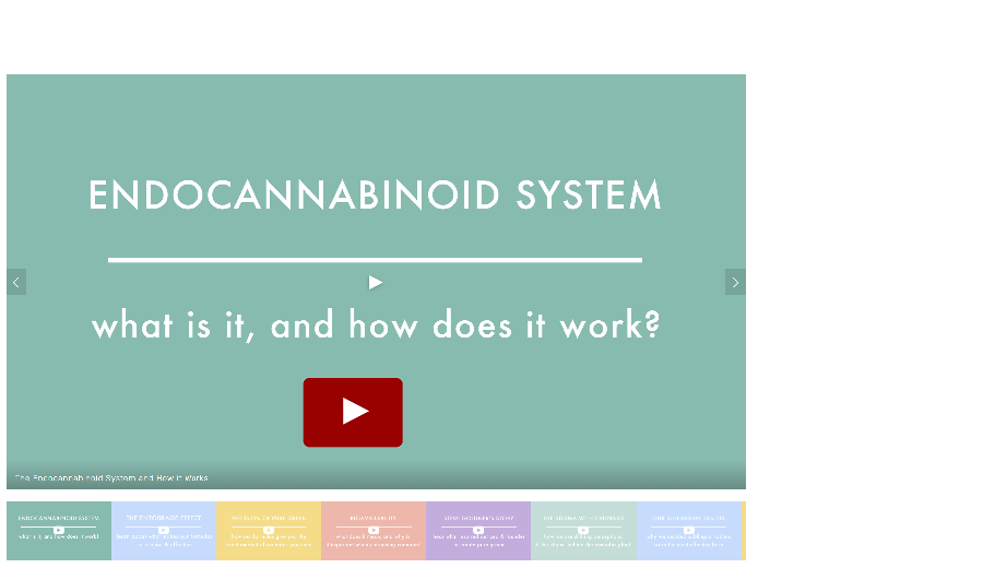 Learn all the terms, science and facts about creating and using Cannabis as Medicine.