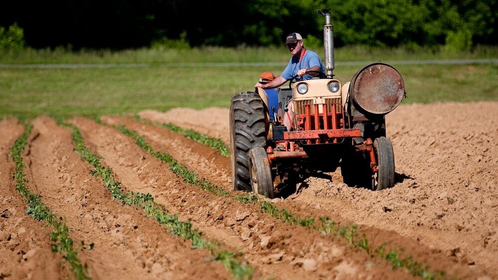 tractor.jpeg