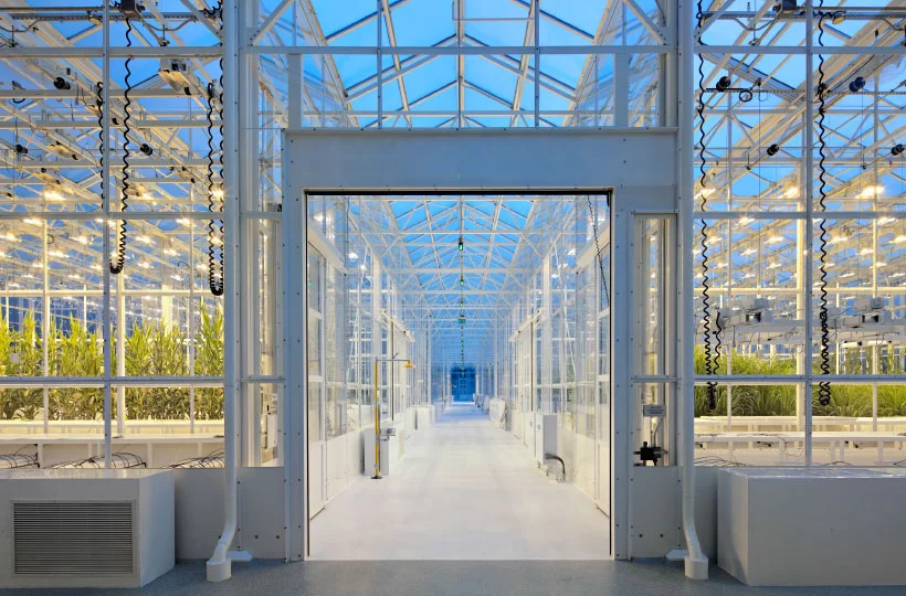 syngenta_2.jpg