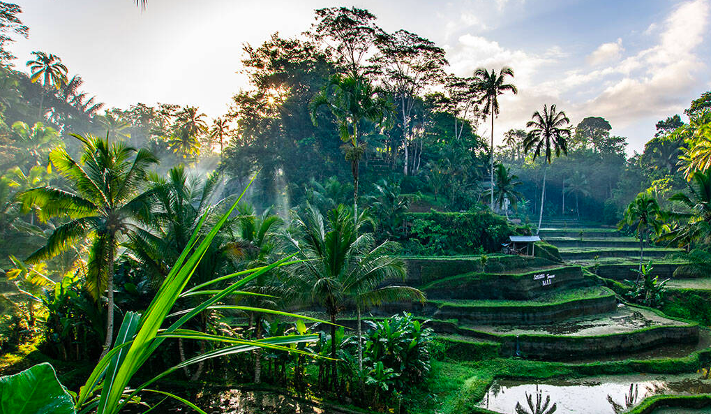 Screenshot 2026-02-27 at 13.58.43.png