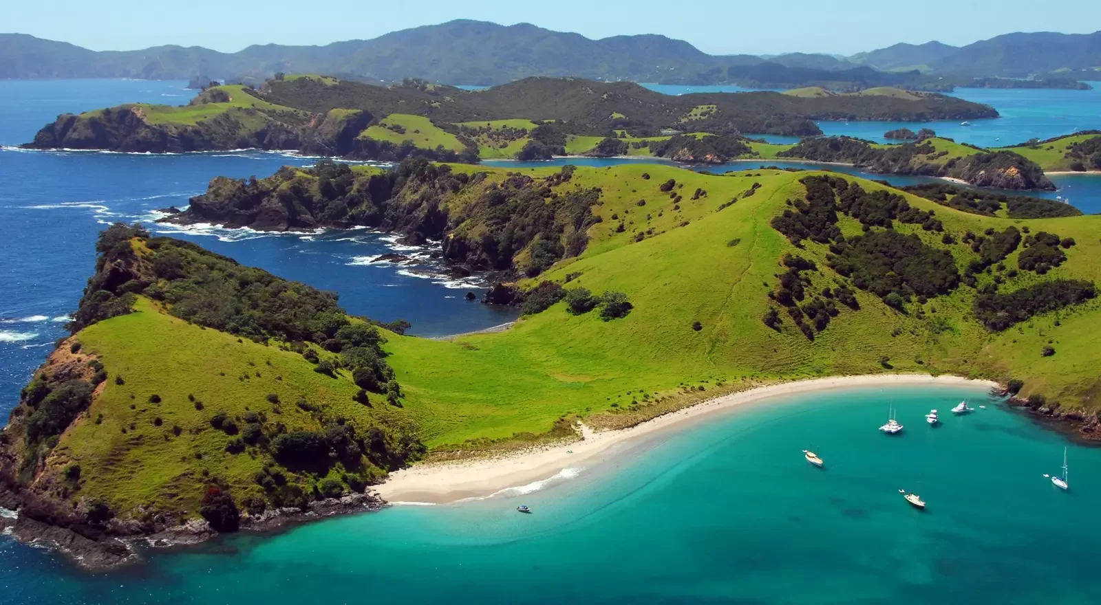 nz.webp