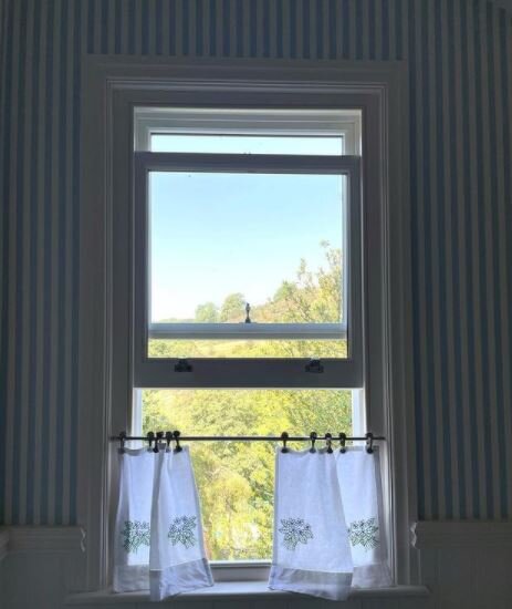 New Sash Window Macclesfield.JPG