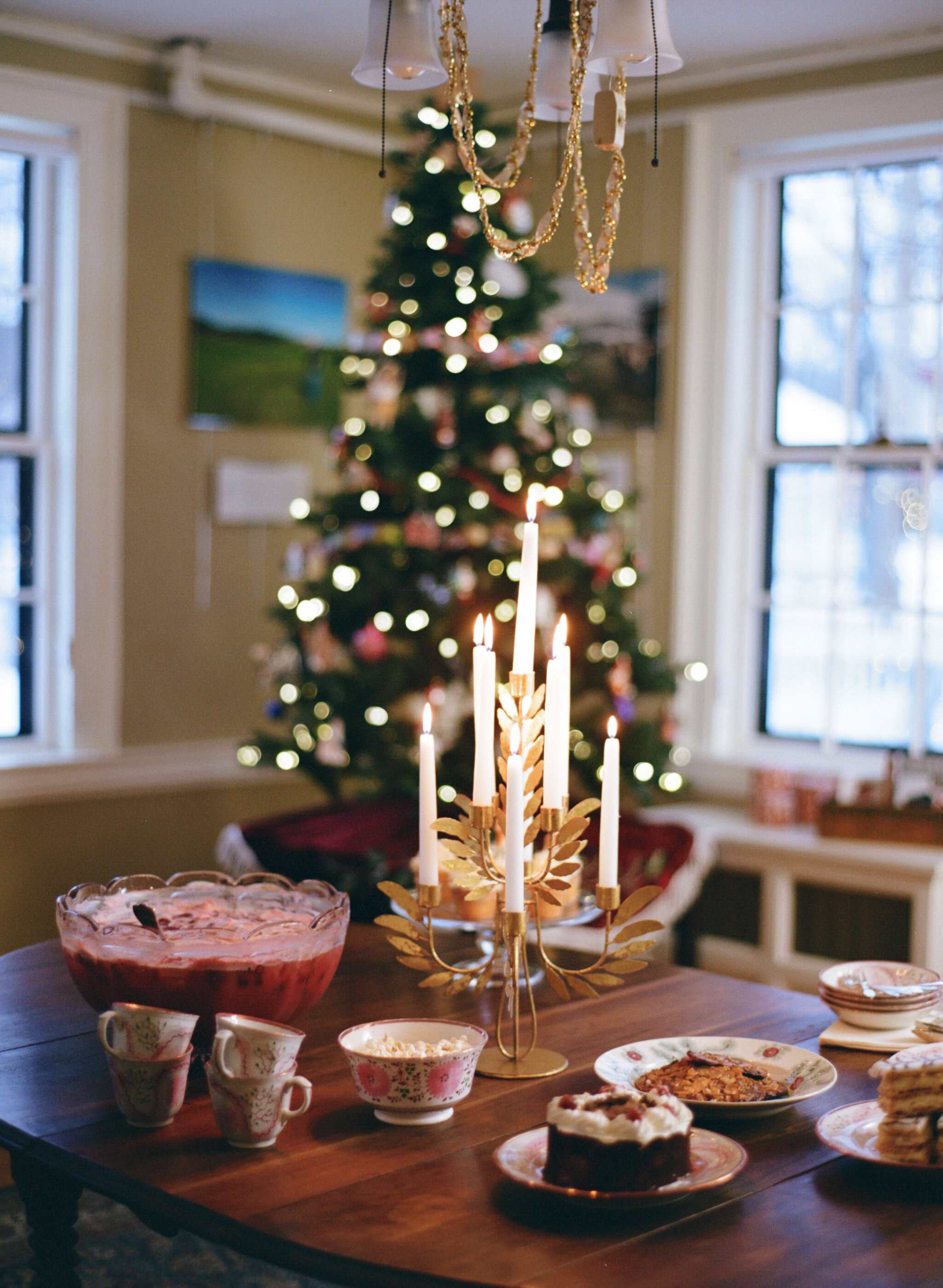 Parties 7. NHS Table w Tree in background.jpeg