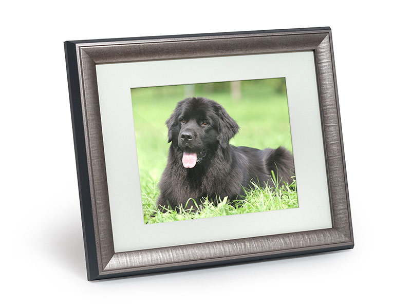 petributes_tribute-frame_midi_silver_01a.jpg