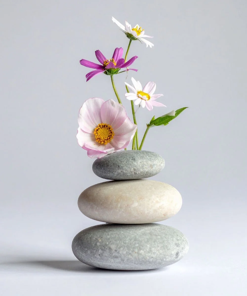  Medicine for the Moment