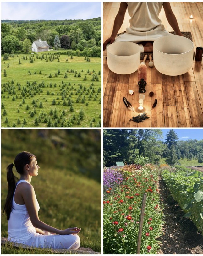Awake Minds Yoga Retreat