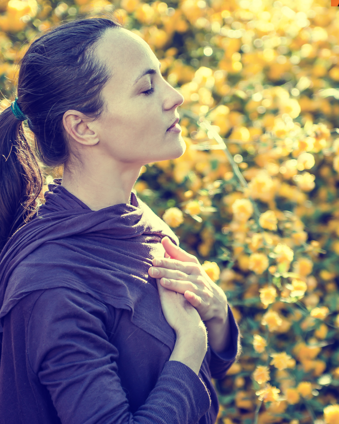 look after your heart .png