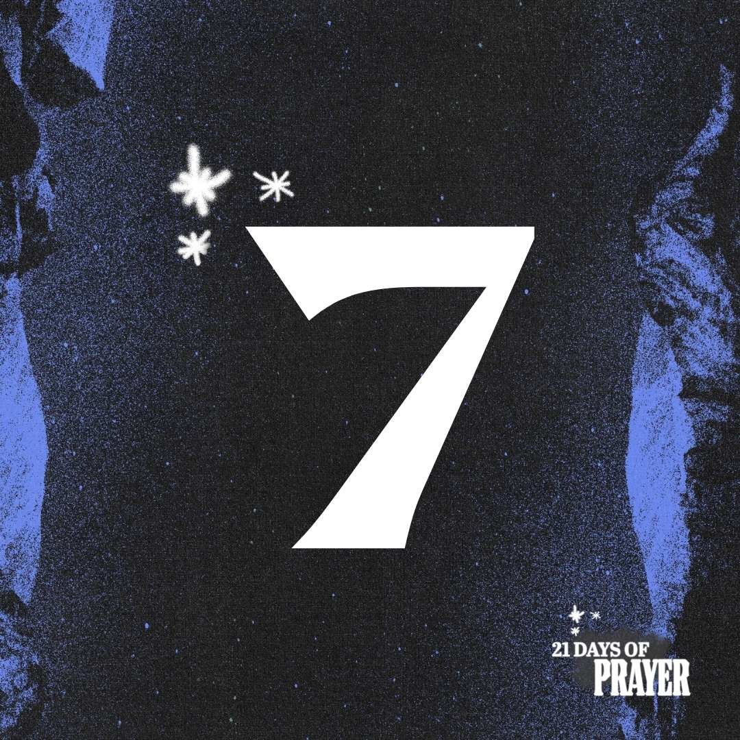 Day 7