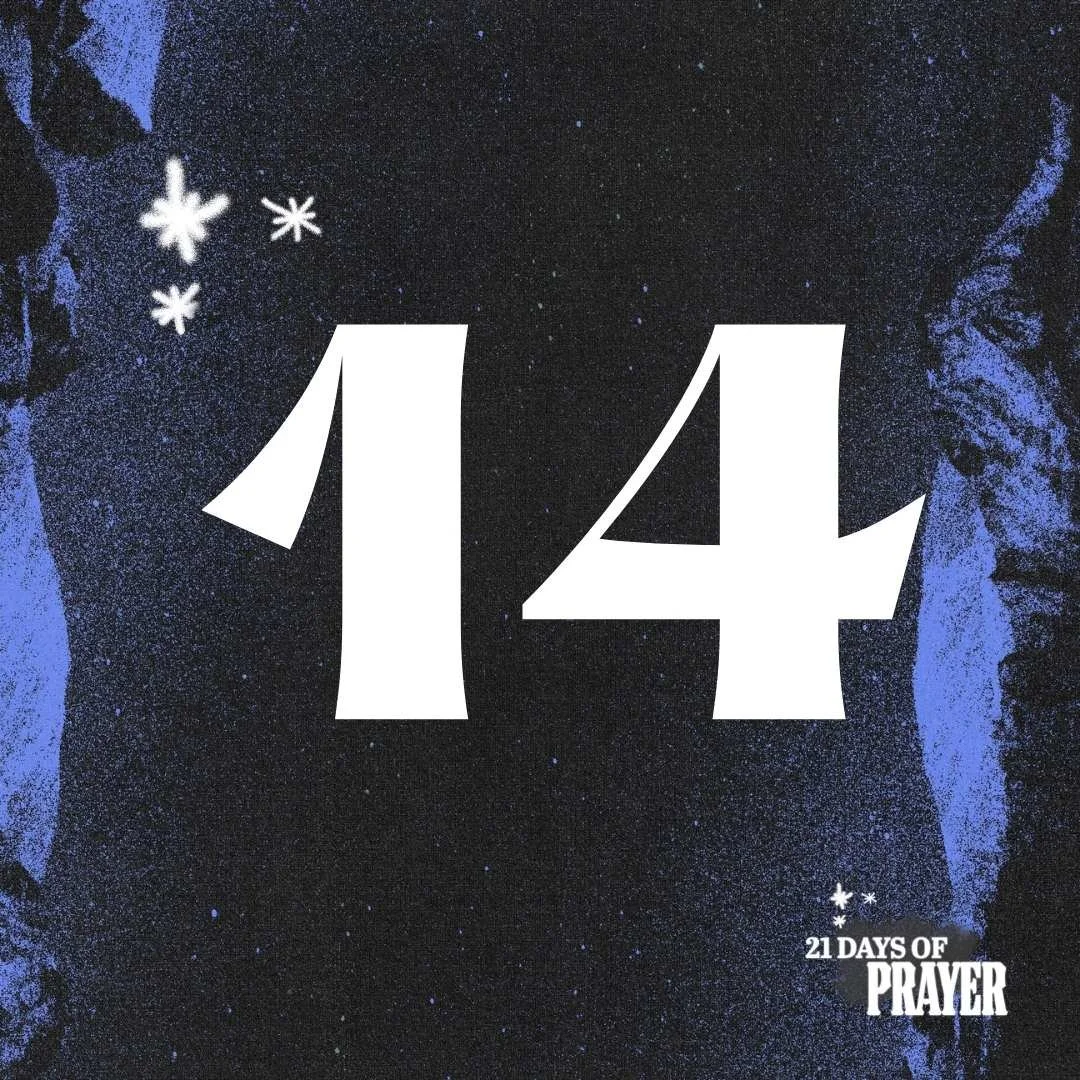 Day 14