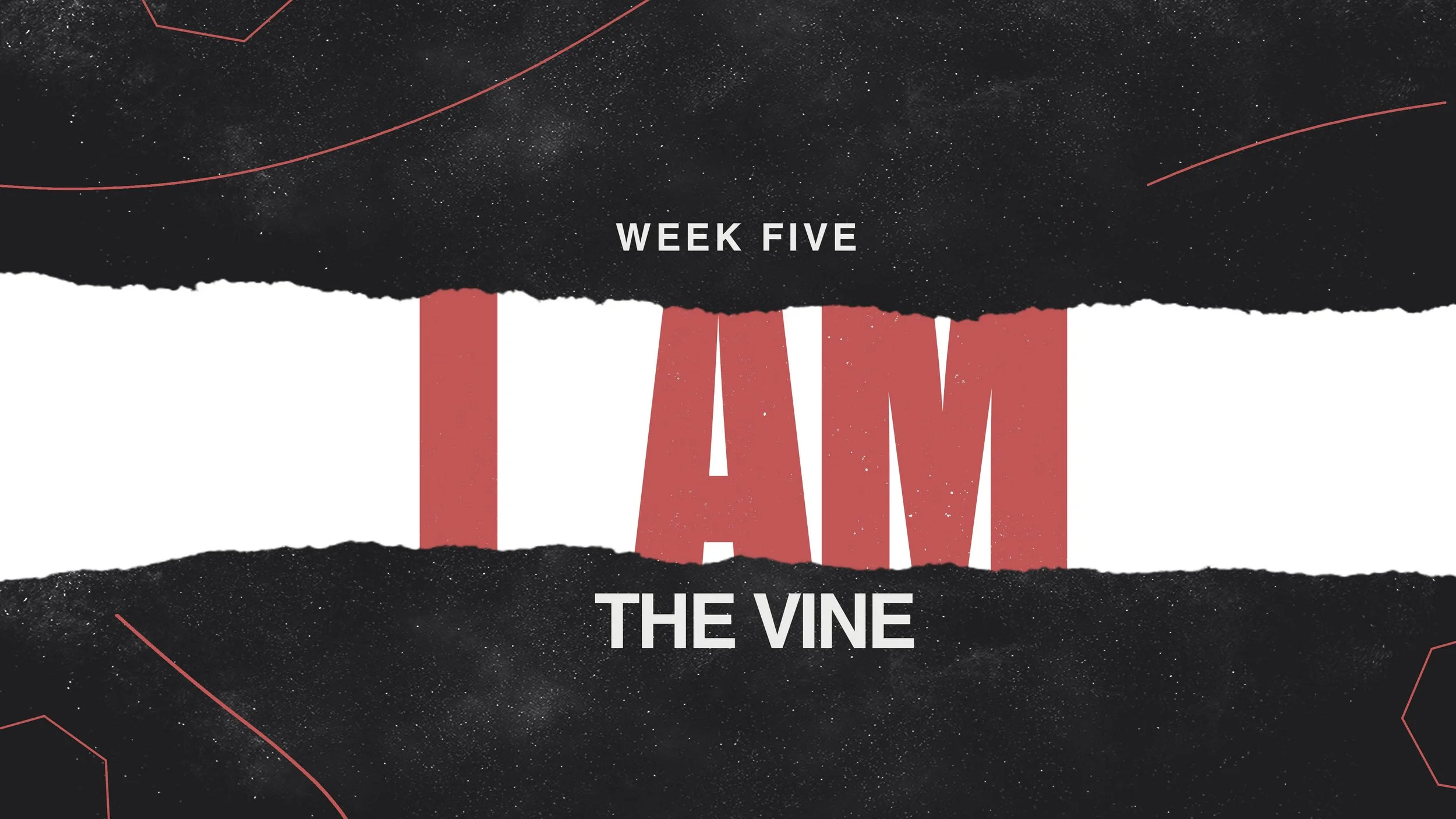 I Am the Vine