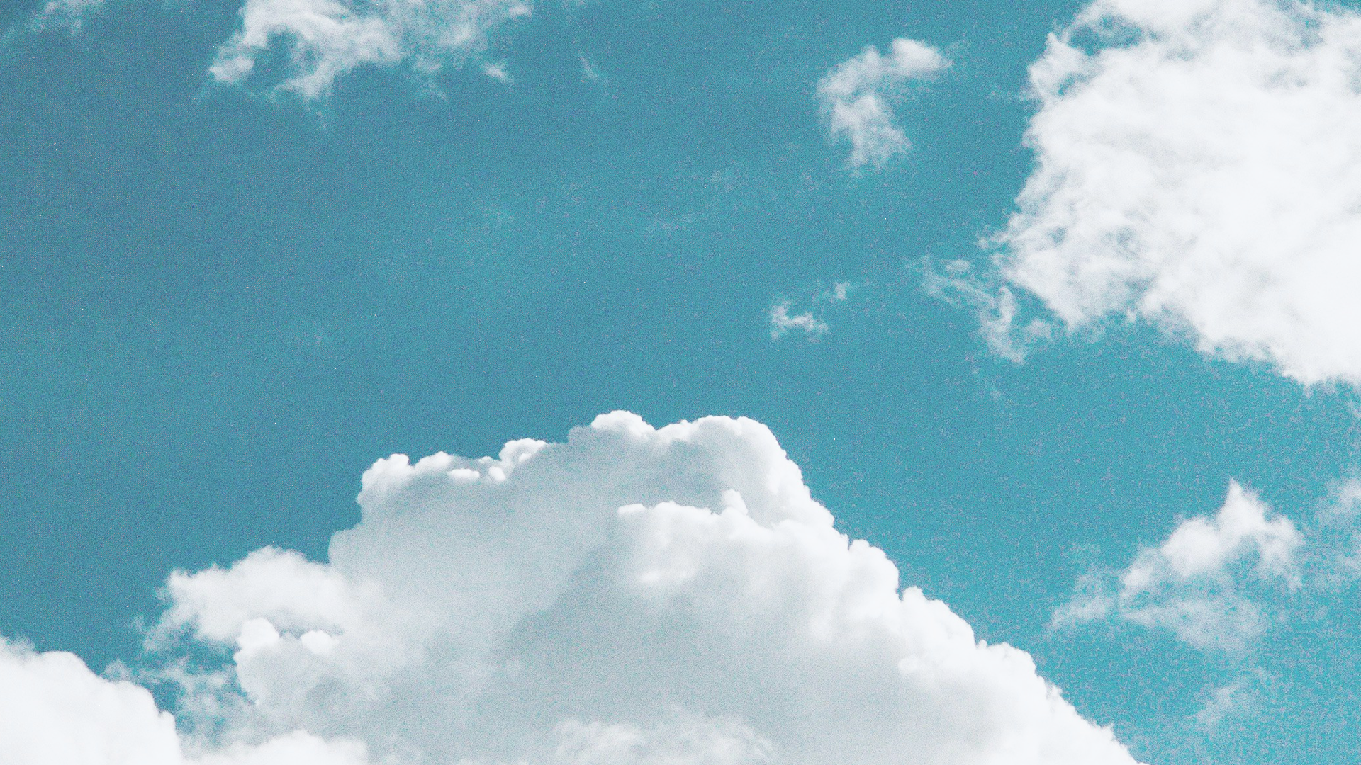 Blank Background (1).png