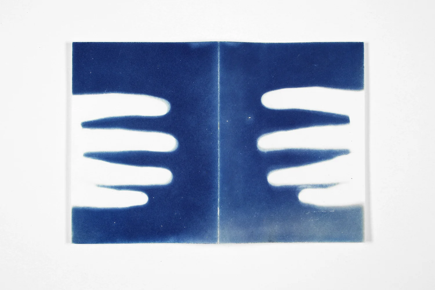 phoebe_nightingale_sun_book_the_sun_will_set_into_my_palms_cyanotype_009.jpg