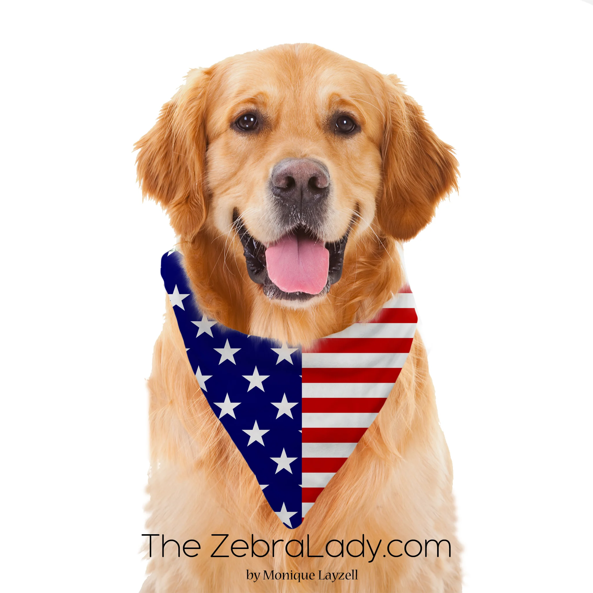display us flag moniquelayzell per bandana.jpg