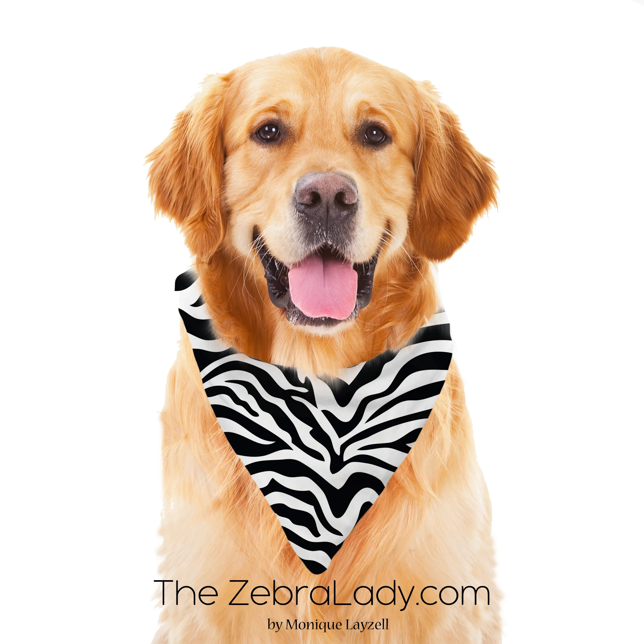 zebra print pet bandana display monquelayzell.jpg