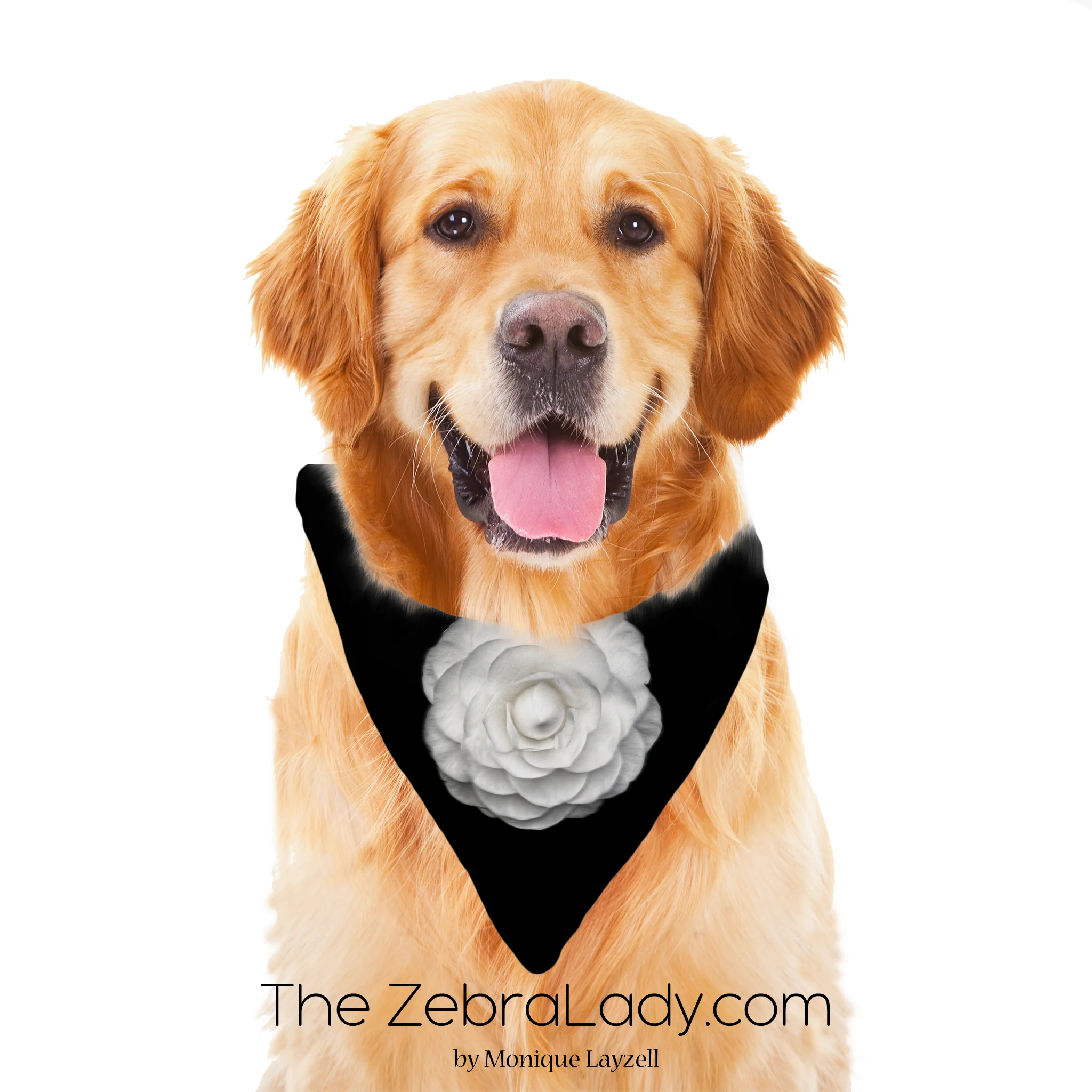 white rose coco pet bandanan display.jpg