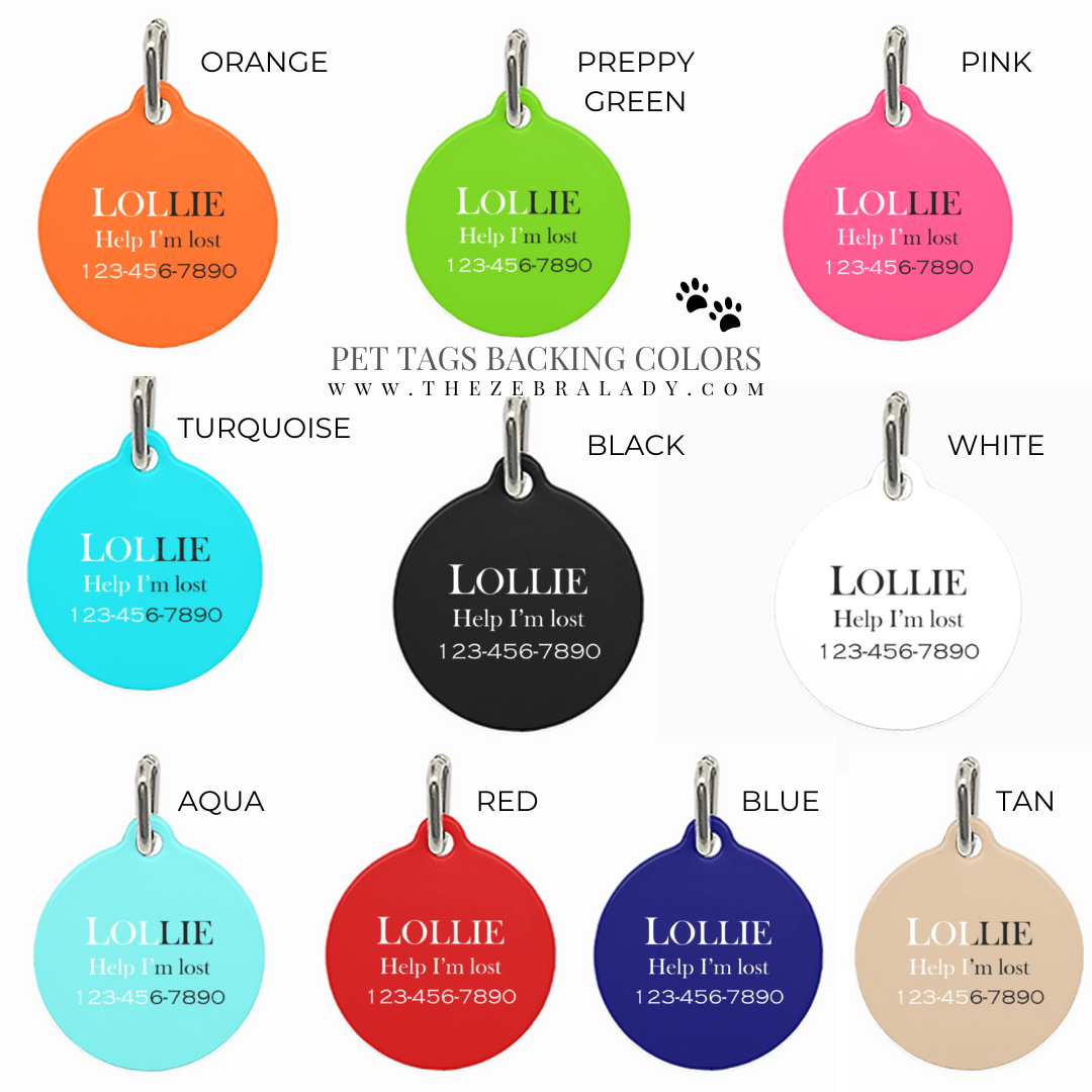 Aqua Horse Bit Pet I.D. Tag Double Sided Personalized