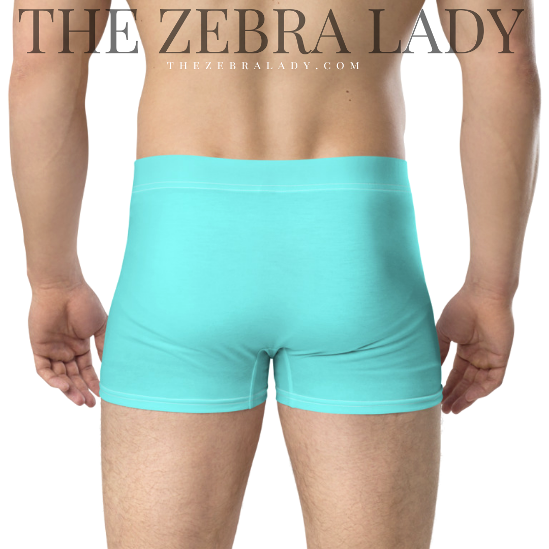 Men's Aqua Boxer Briefs