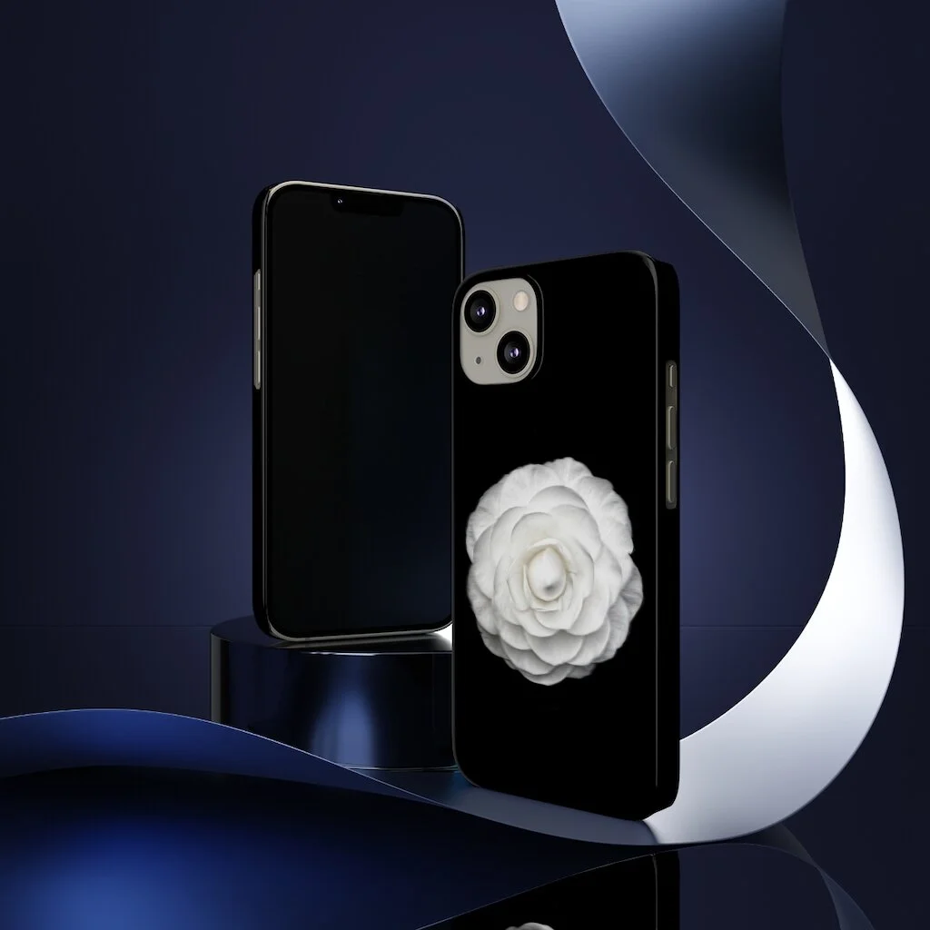 fc45274f756a3363471fbb33e8c451bc