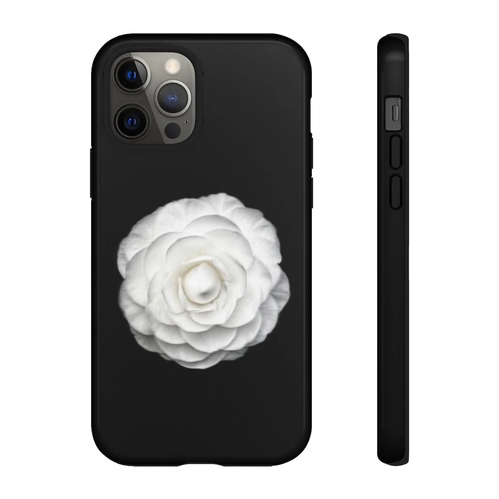 e4d6fff56d2f1d31fc6d427a2016e3c6