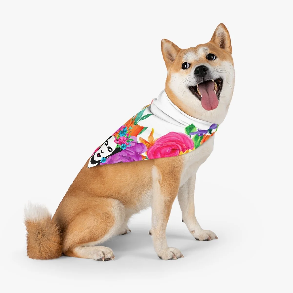 07330a4a1c078513b75f53308819e7b4