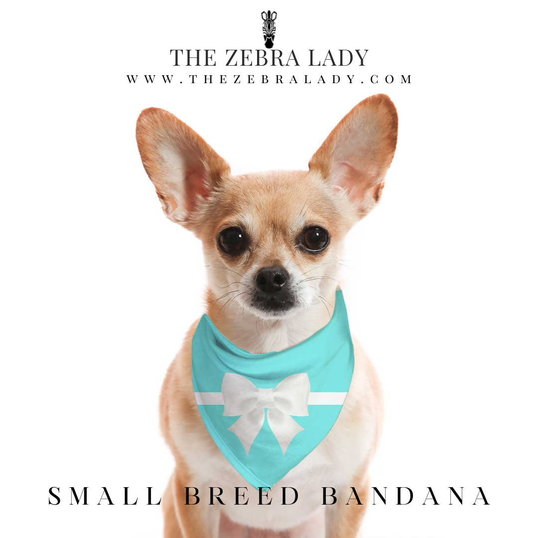 Breakfast at Tiffany's Small Breed Pet Bandana