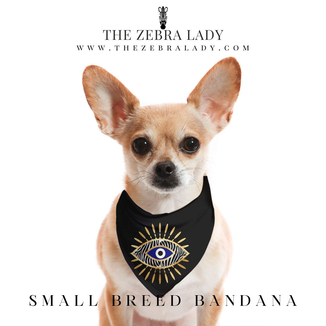 Zebra Evil Eye Black Small Breed Pet Bandana