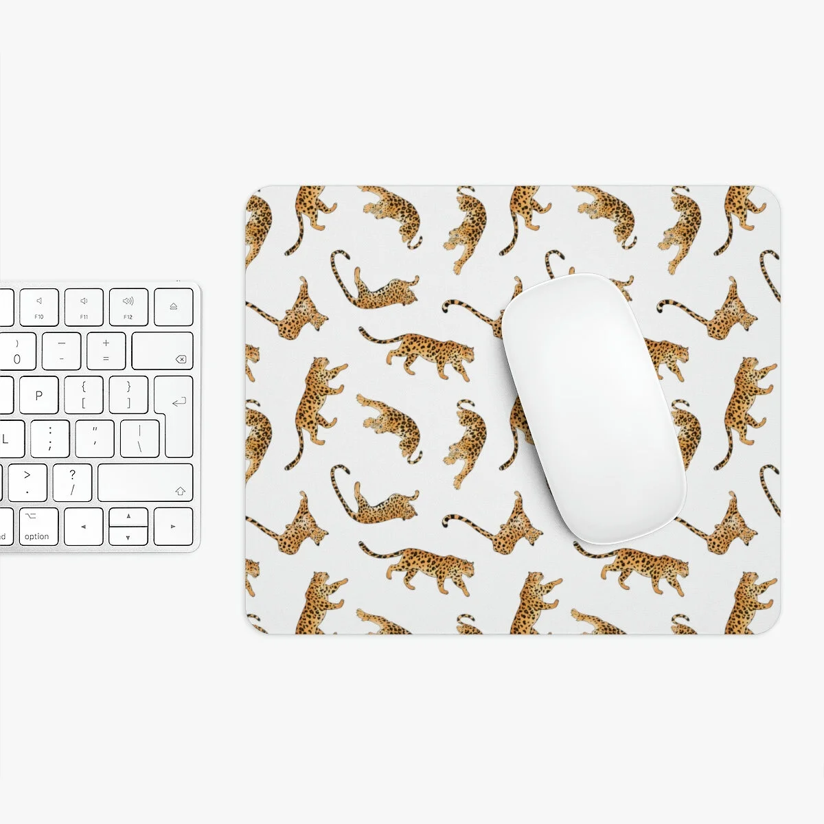 558706def31ae18574181cf981247939