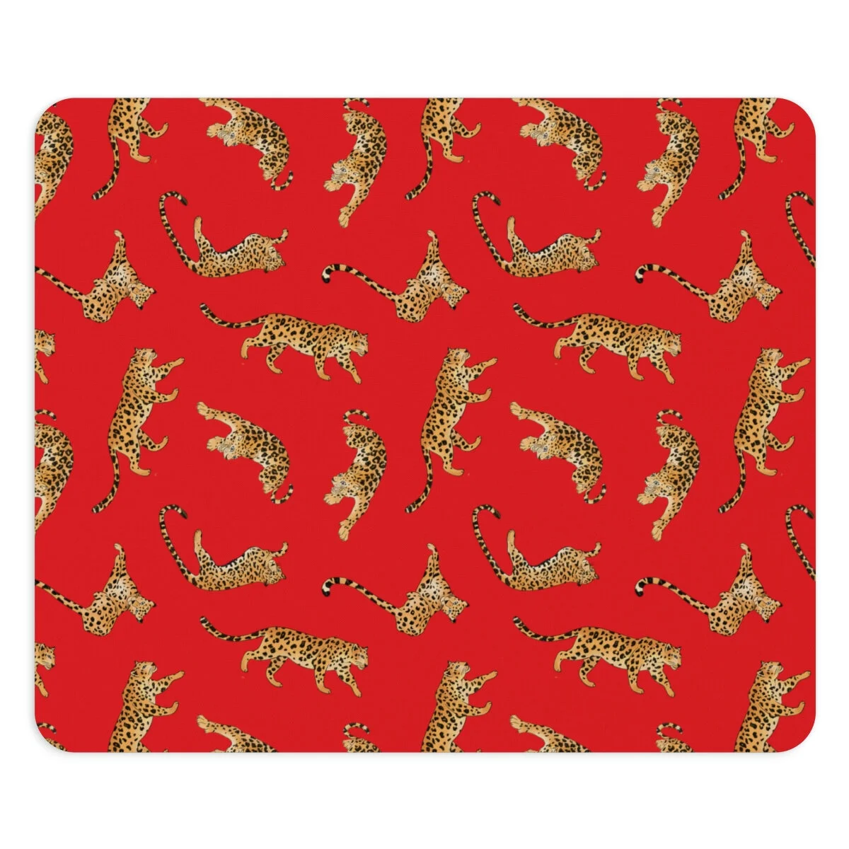 40b1f208f88d576d3fd9efdad9f5ec54