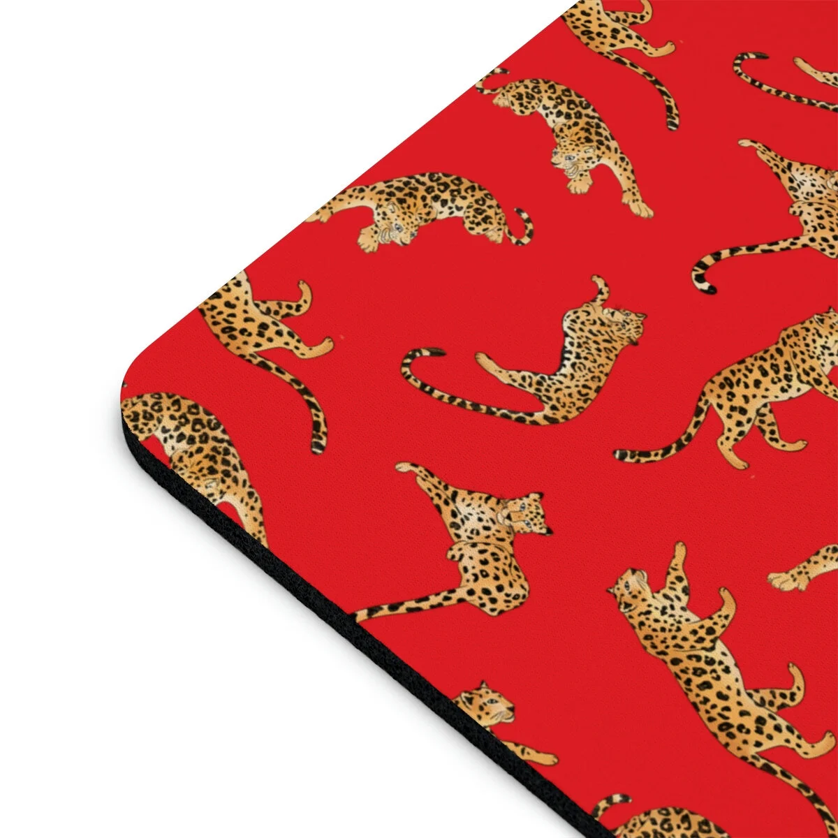 e2d25f36b1e75cedcecfcc28f2f5d081