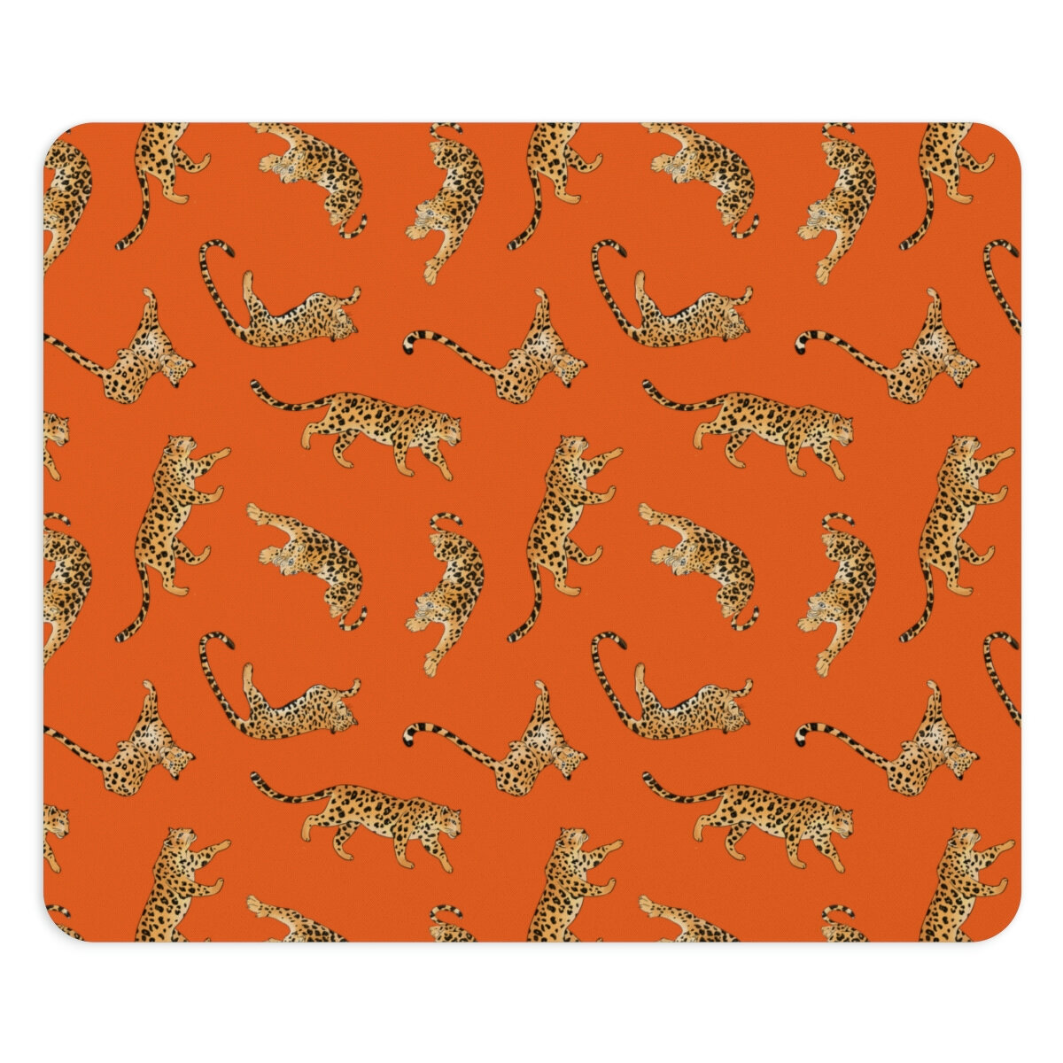 b8616f2aee036c1aa5bfea0766bb6279