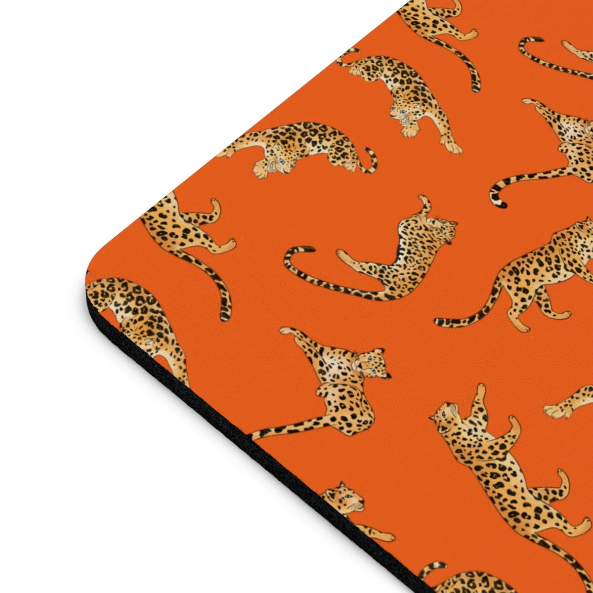 235410c0cafa366fc5dc26922666e576