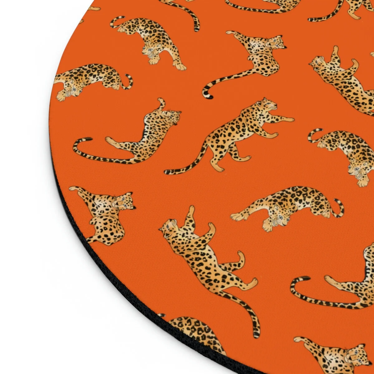 7872ecf6c67b20e2f27fbb82f0fdc9d0