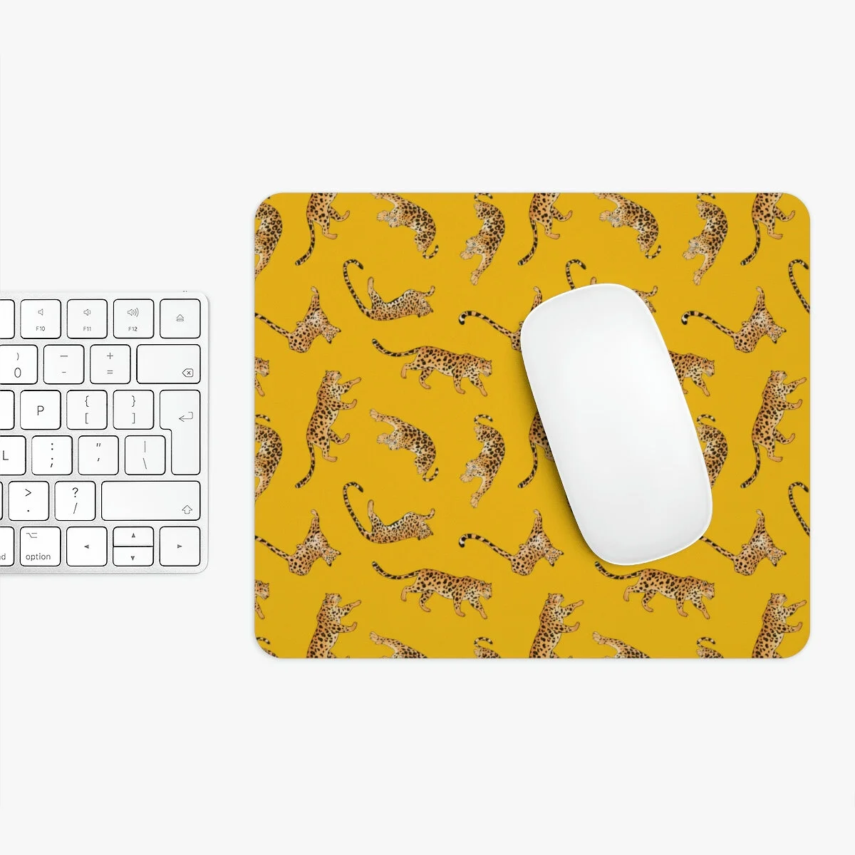 237daed5aedf23e58caf8d9b26dc8d2d