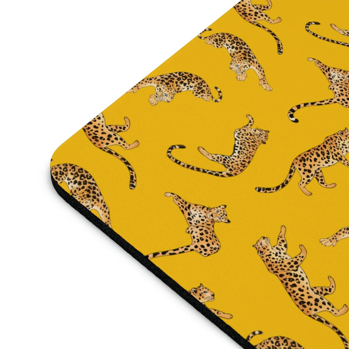 c591a036af8878107c5bb558ed0b5040