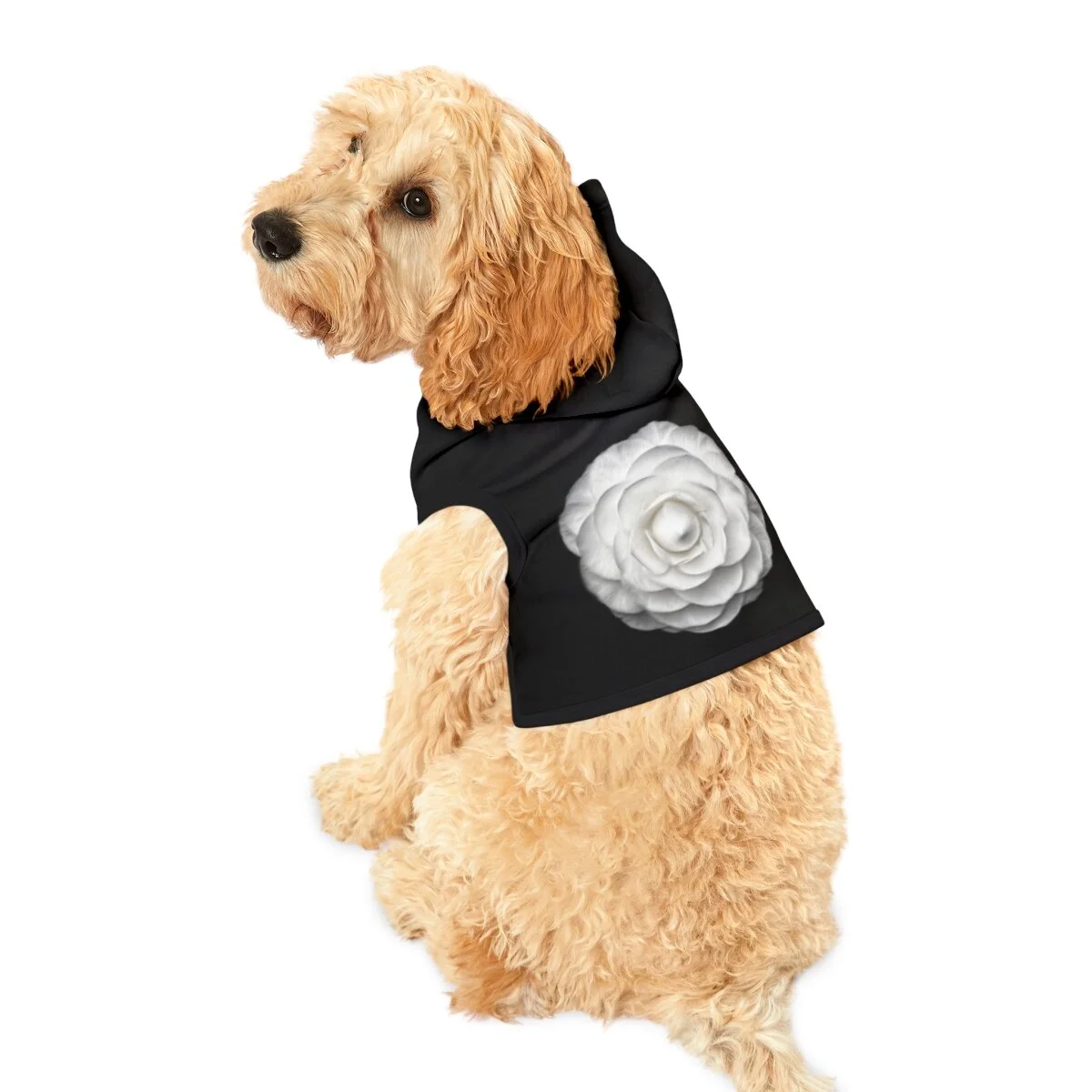 6491cfe68941fdd6a173e2c1bfdd2236