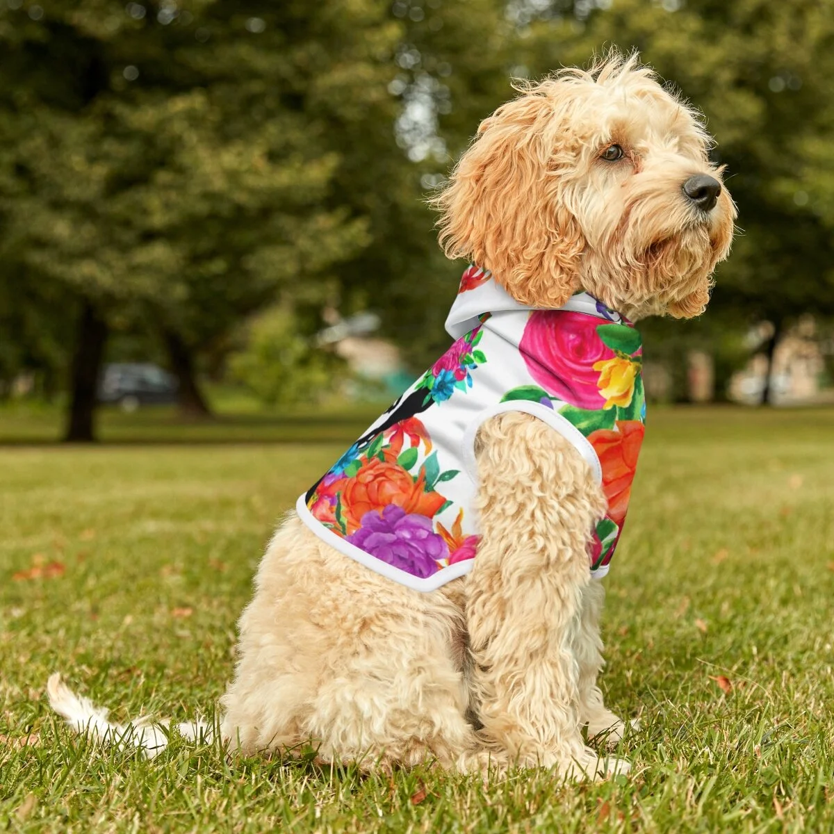 070495ac4a99ef8d2052603c91d4777d