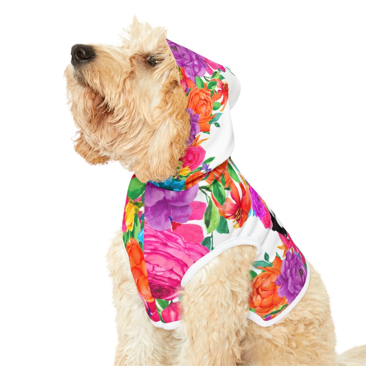 b0c8a055e9cb3a6563133e43d69c0ed0