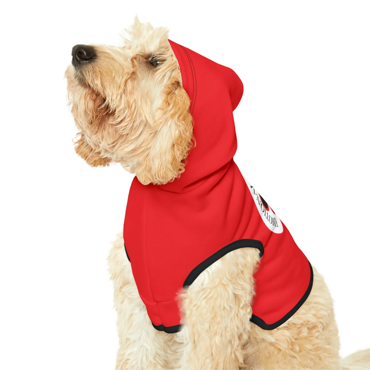 eca680c382621c62a5deb0d8829e8b9d