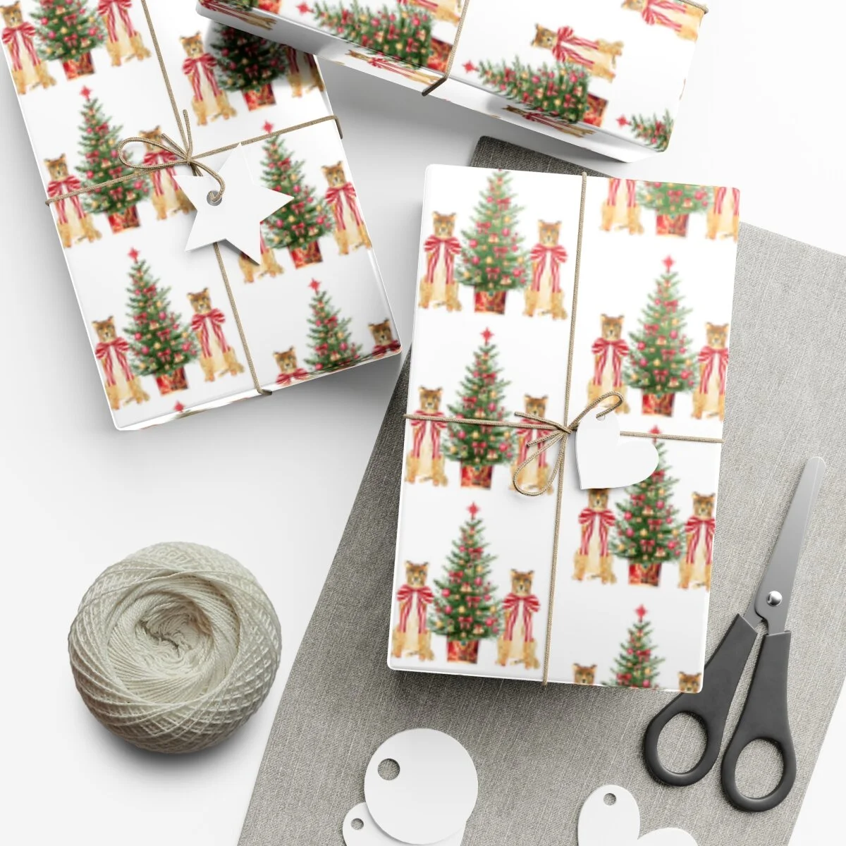 d23b9638c0217725ccd8cb27a310d062