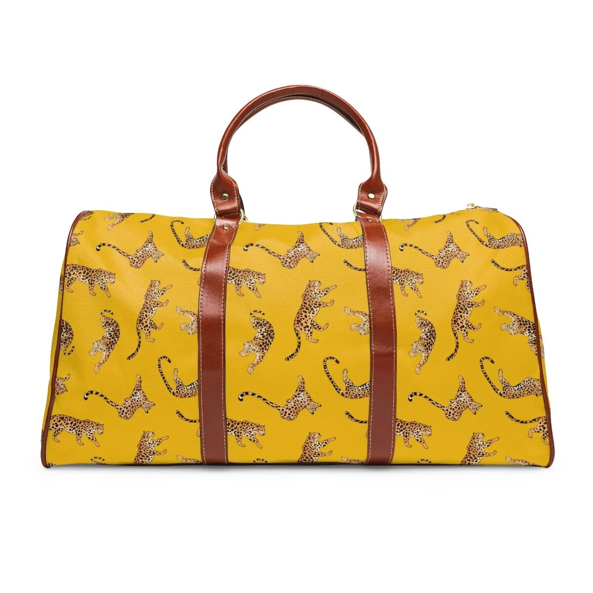 1c3a6c2887b44ccdd5caae966d7753e2