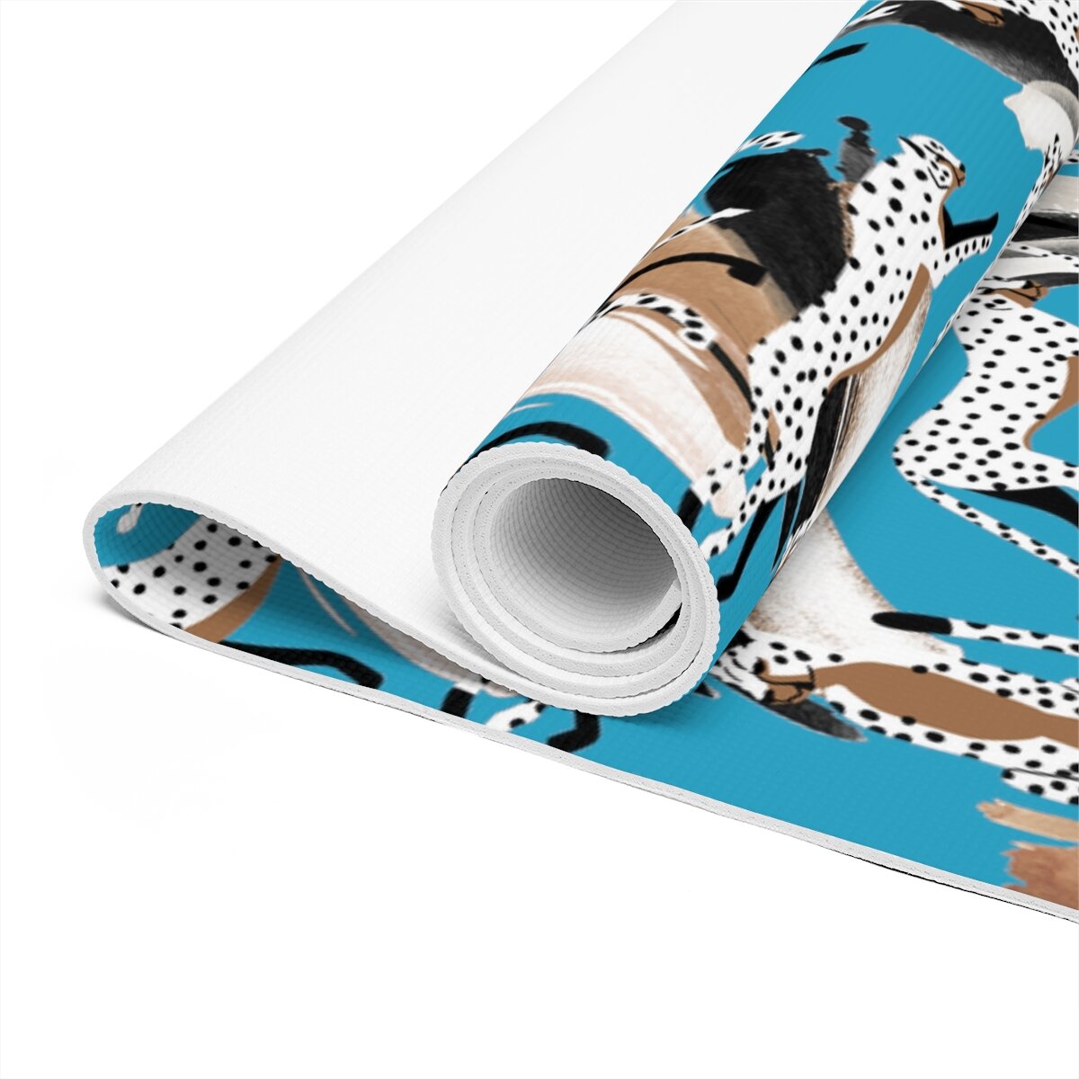 8ddd1f43d5e7cca03cd4735838ec8404