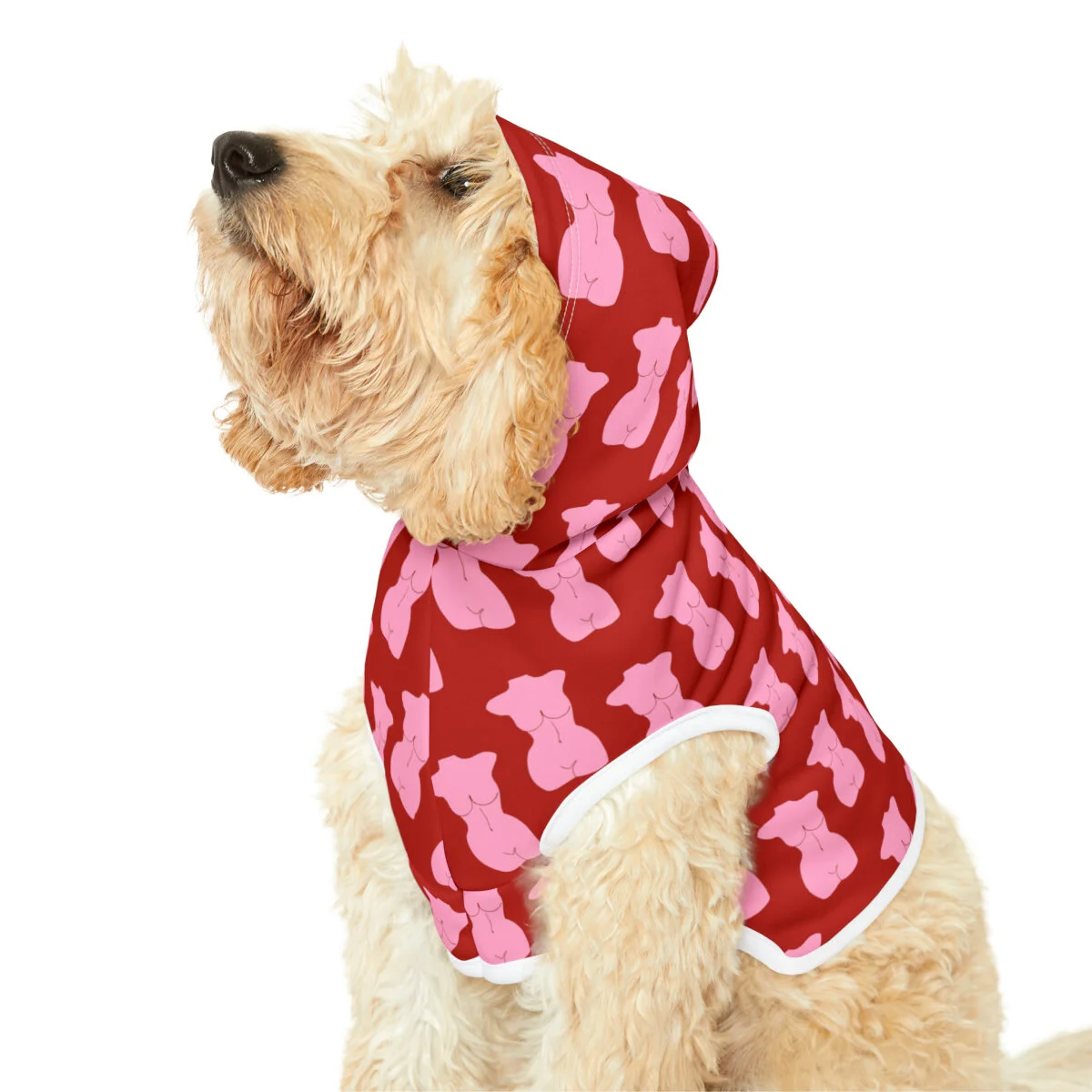 27d861a69ce7bf9cb04c9a3600dfc213