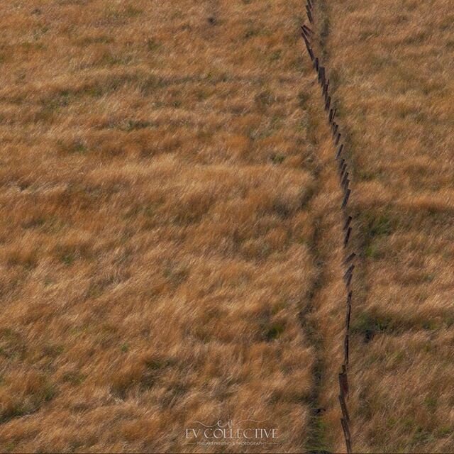 Another one from Monday&rsquo;s snowless snow chase . 
Pretty sure that @adamfinch will be on the fence with this image . 
#newengland #tenterfield #glenninnes #wintergrass #fence #countryliving #nosnow #onthefence #dadjoke #visitnsw #roadtrip #nsw @