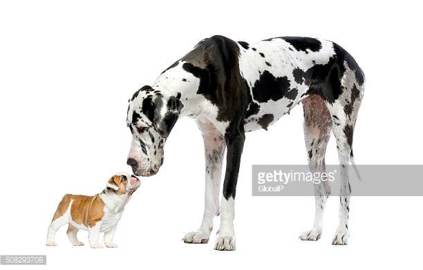 Photo by GlobalP/iStock / Getty Images