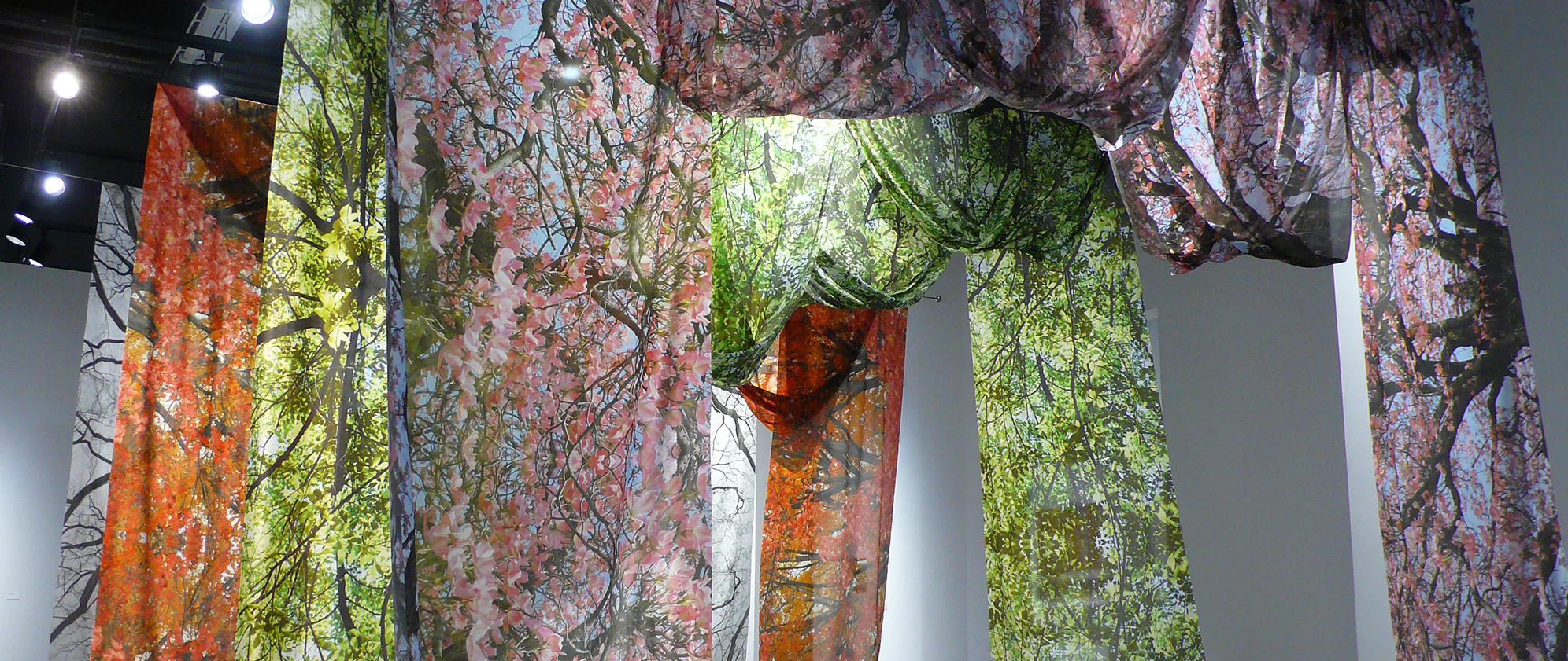 Endangered Seasons at The Delaware Contemporary, artwork by Amie Potsic