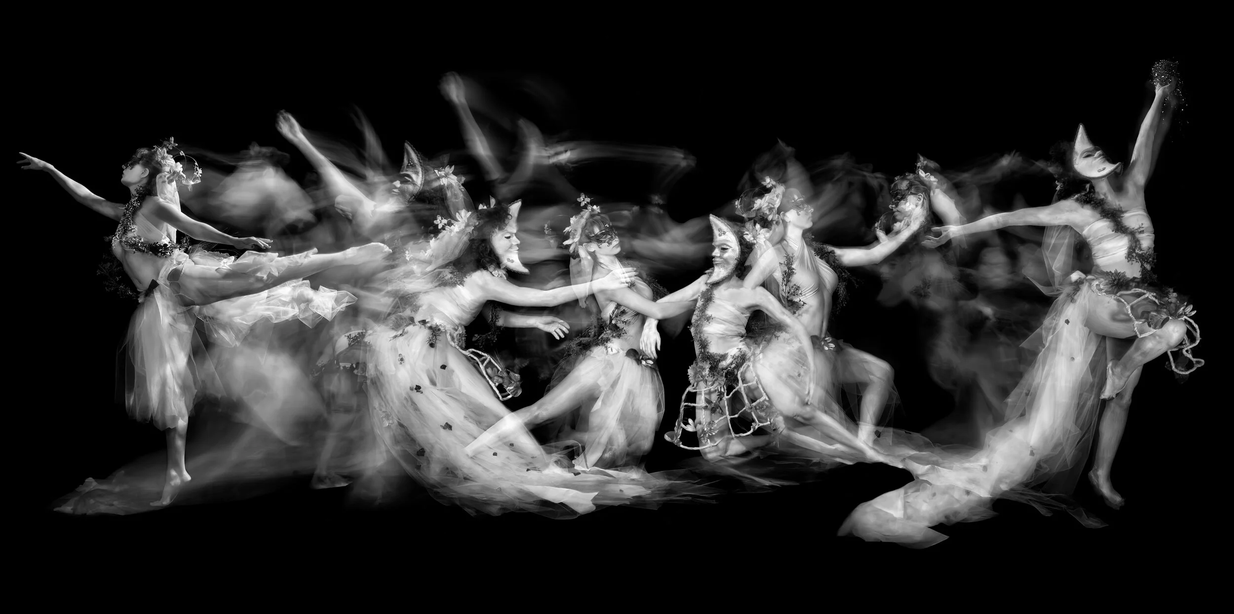 Dryads , John Singletary, 5’ x 3’ OLED Installation, Pigment Print 24” x 42”
