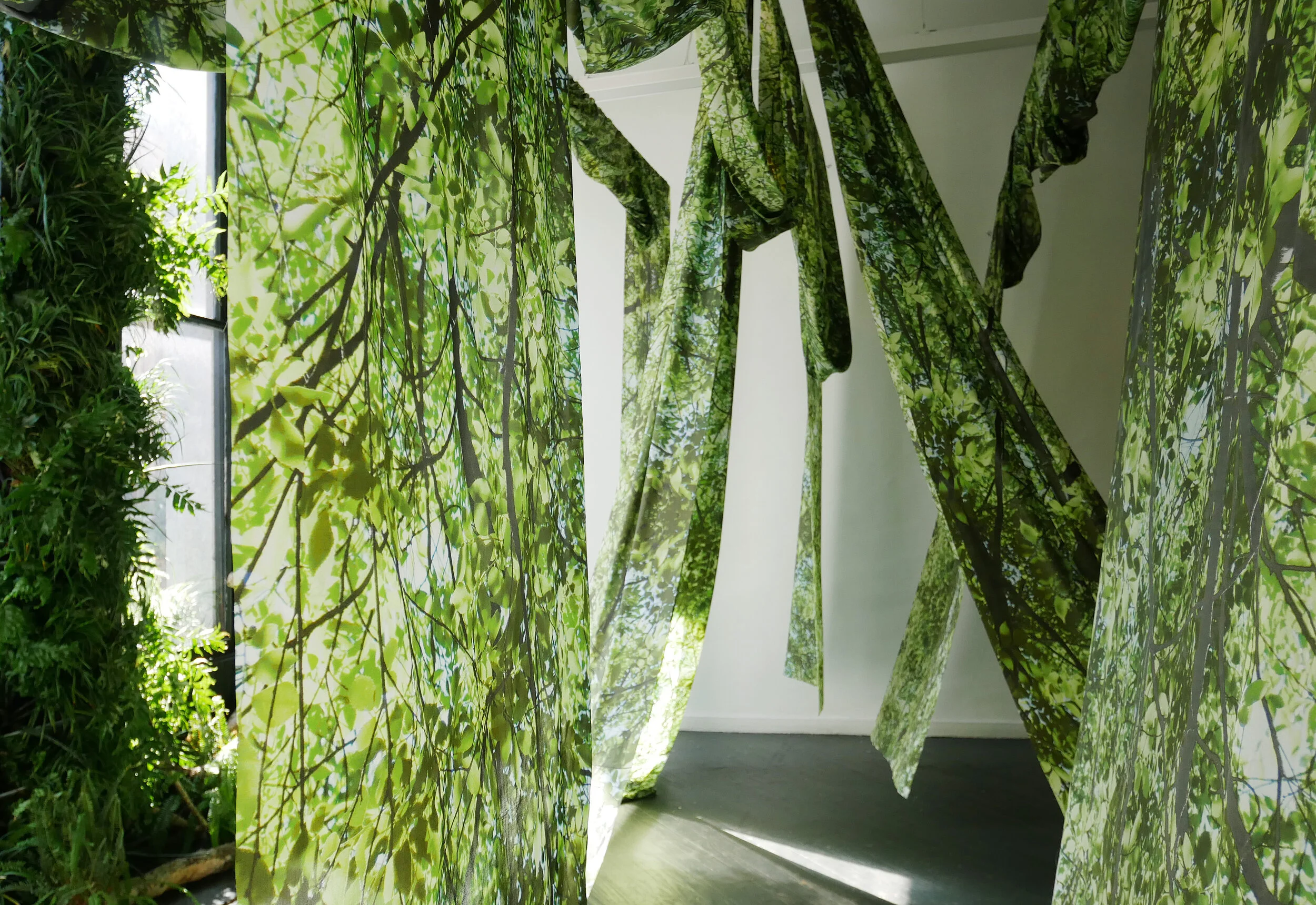 Virtual Exhibition: Girl in the Garden featuring Amie Potsic