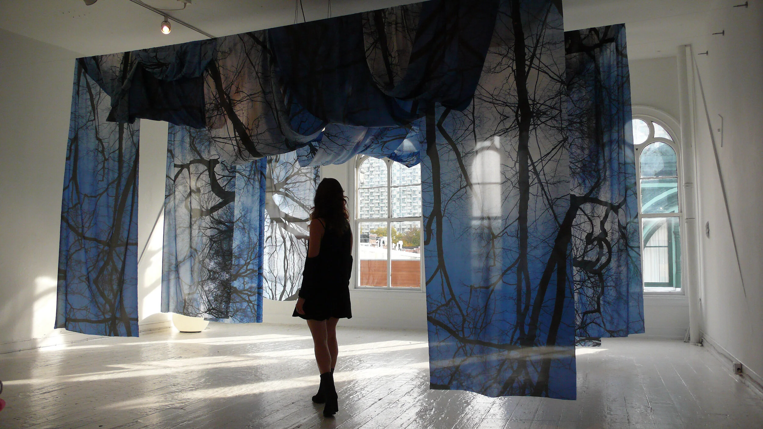 Collection: Enchanted Forest by Amie Potsic 