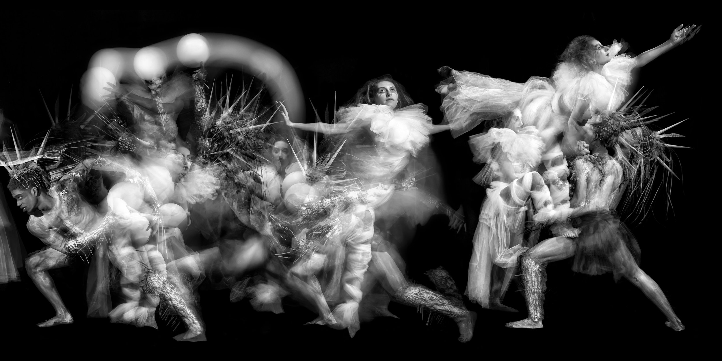 Virtual Exhibition: Photographer and Multimedia Artist John Singletary