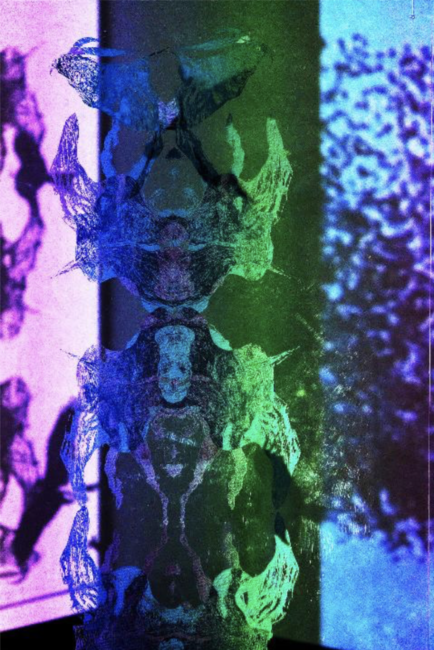 Screenshot 2025-12-29 at 4.49.06 PM.png